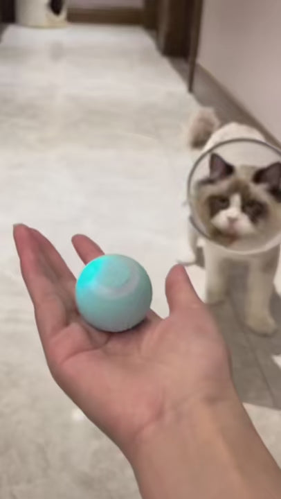 Wireless Interactive Cat Ball Training Toys